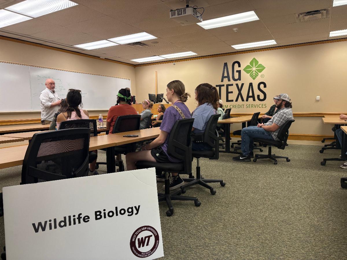 Buff Branding Wildlife Biology